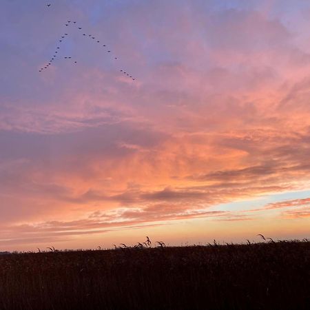Deichkoje12 Direkt Am Eiderdeich Nur 7 Km Bis Zur Nordsee Und 20 Min Bis Sankt Peter Ording Tönning Exterior foto