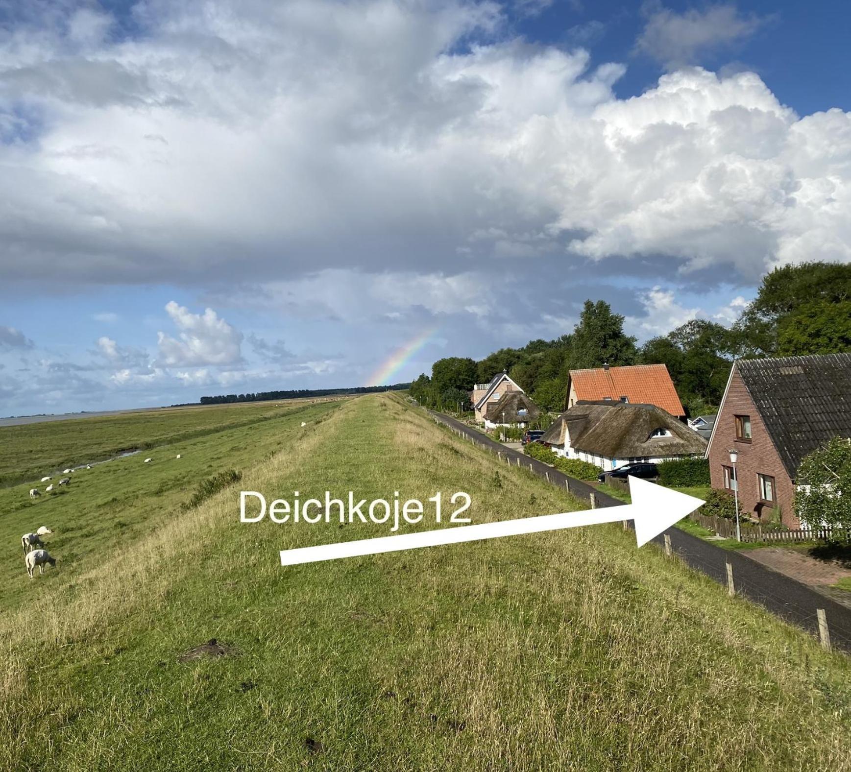 Deichkoje12 Direkt Am Eiderdeich Nur 7 Km Bis Zur Nordsee Und 20 Min Bis Sankt Peter Ording Tönning Exterior foto